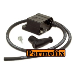 F073 Electronic Ignition...